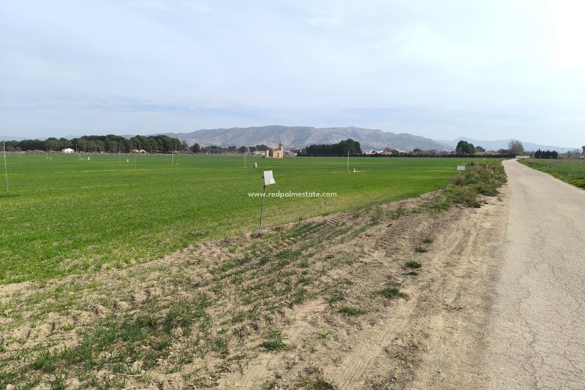 Resale - Plot -
Villena - Inland