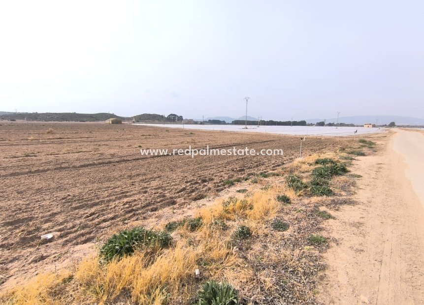 Resale - Plot -
Villena - Inland