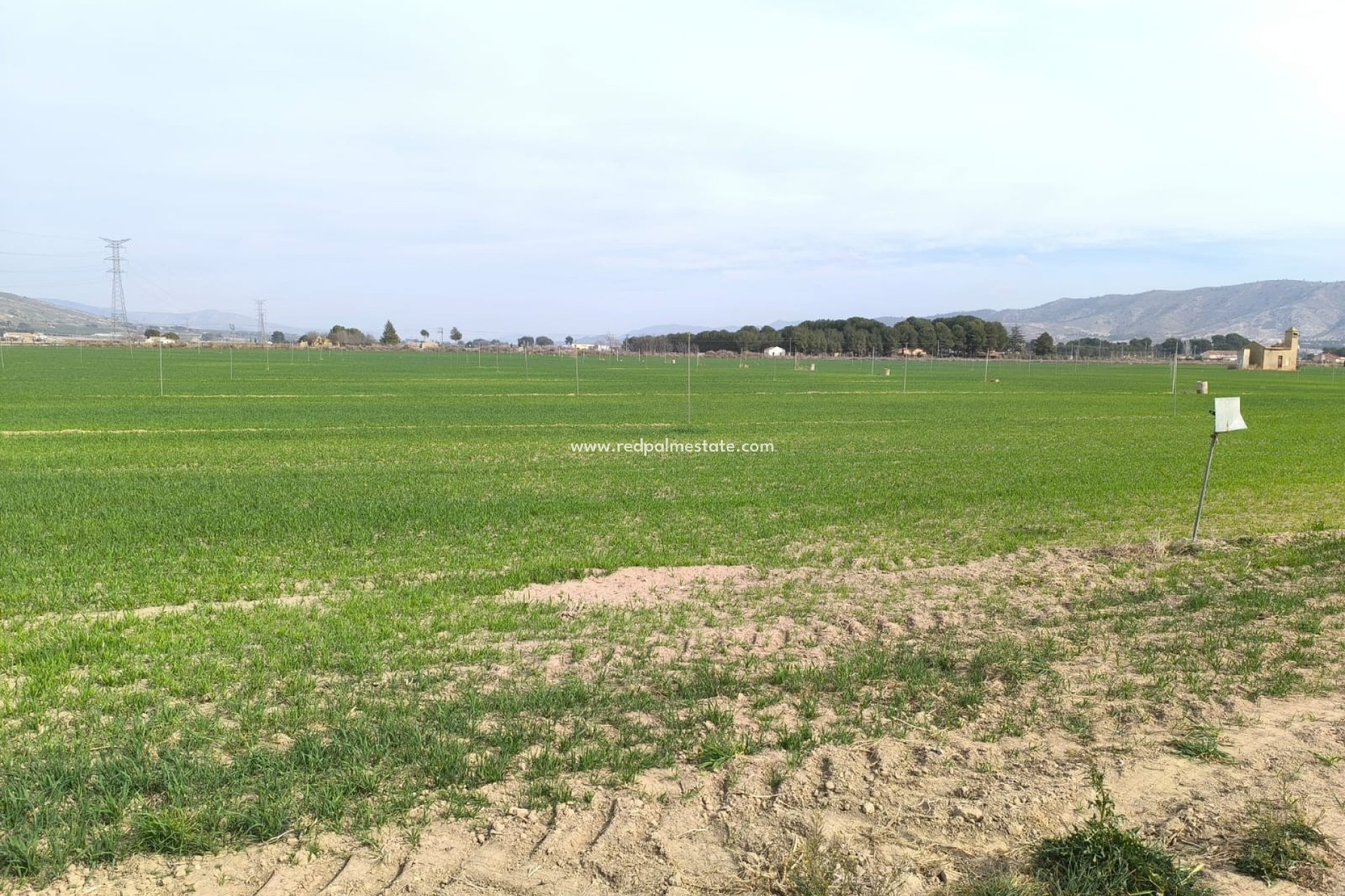 Resale - Plot -
Villena - Inland