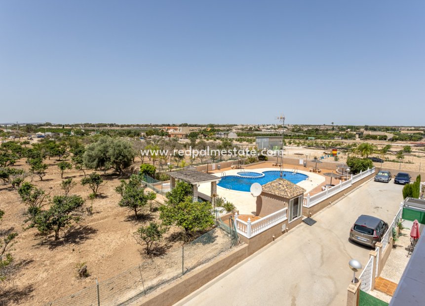 Resale - Semi - Detached Villa -
Guardamar del Segura - Urb el raso