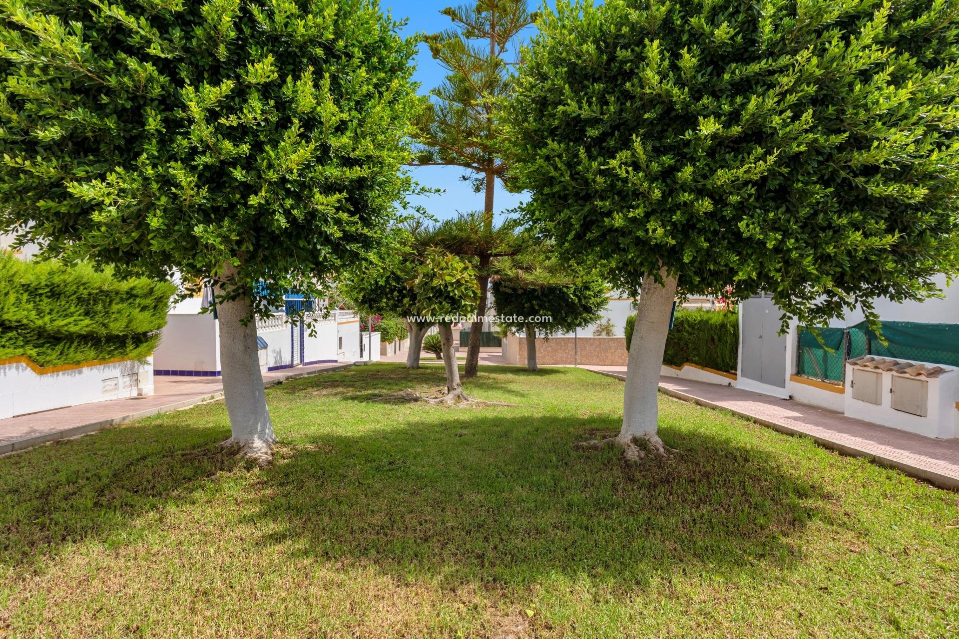 Resale - Terraced house -
Torrevieja - Los Altos