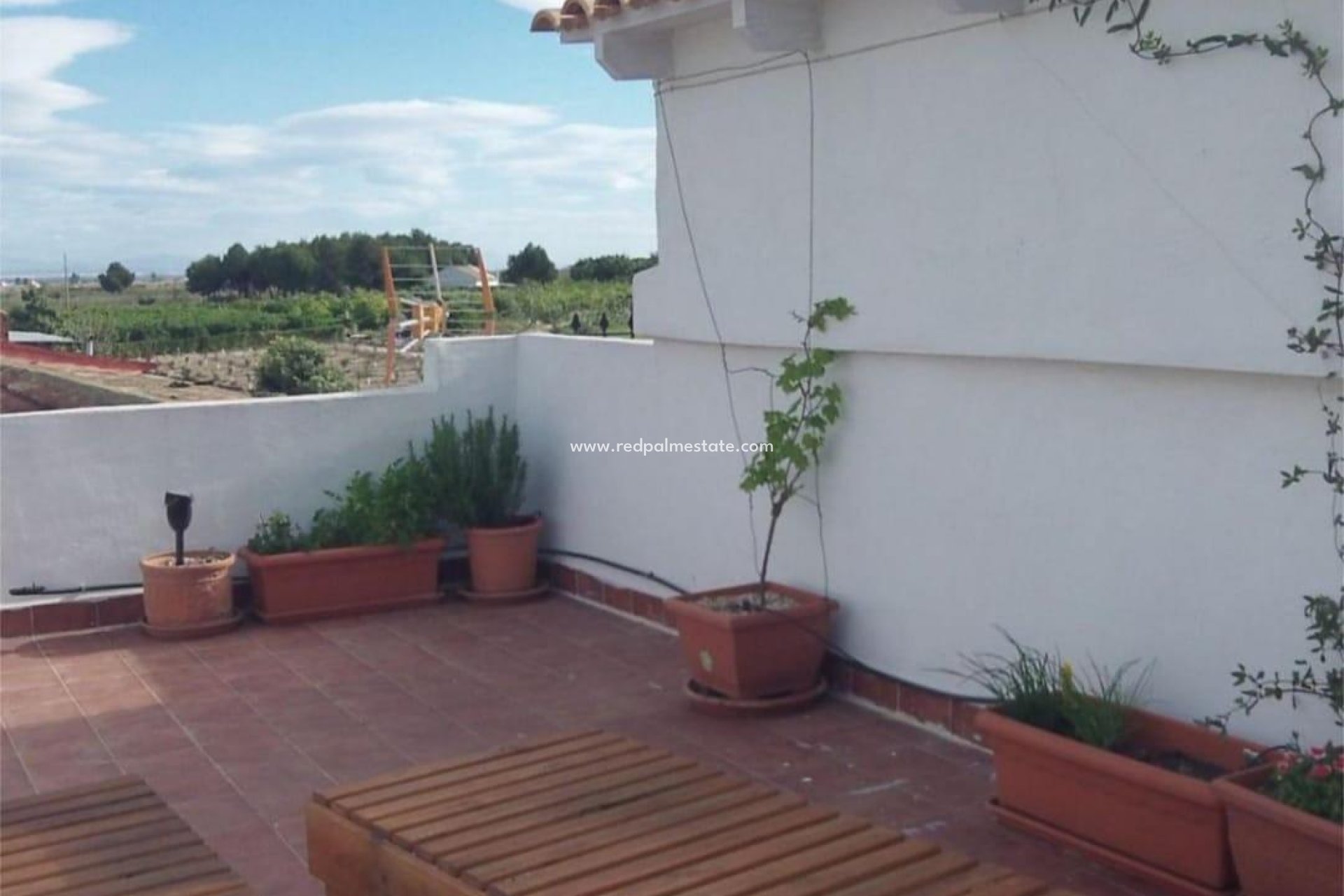 Resale - Town House -
Almoradí - El saladar