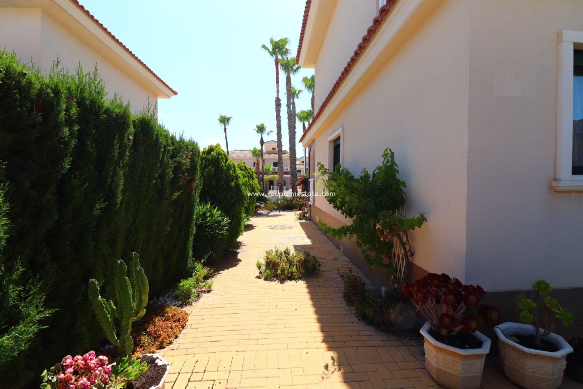 Resale - Town House -
Ciudad Quesada/Rojales - Ciudad Quesada