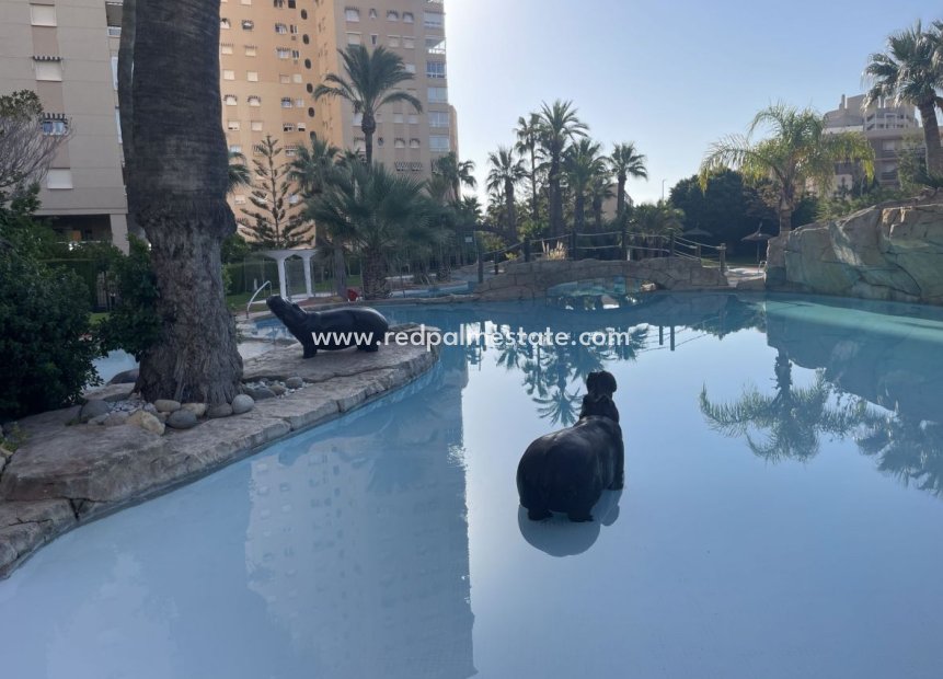 Resale - Town House -
El Campello - Costa Blanca