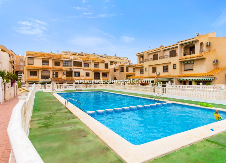 Resale - Town House -
Guardamar del Segura - Costa Blanca