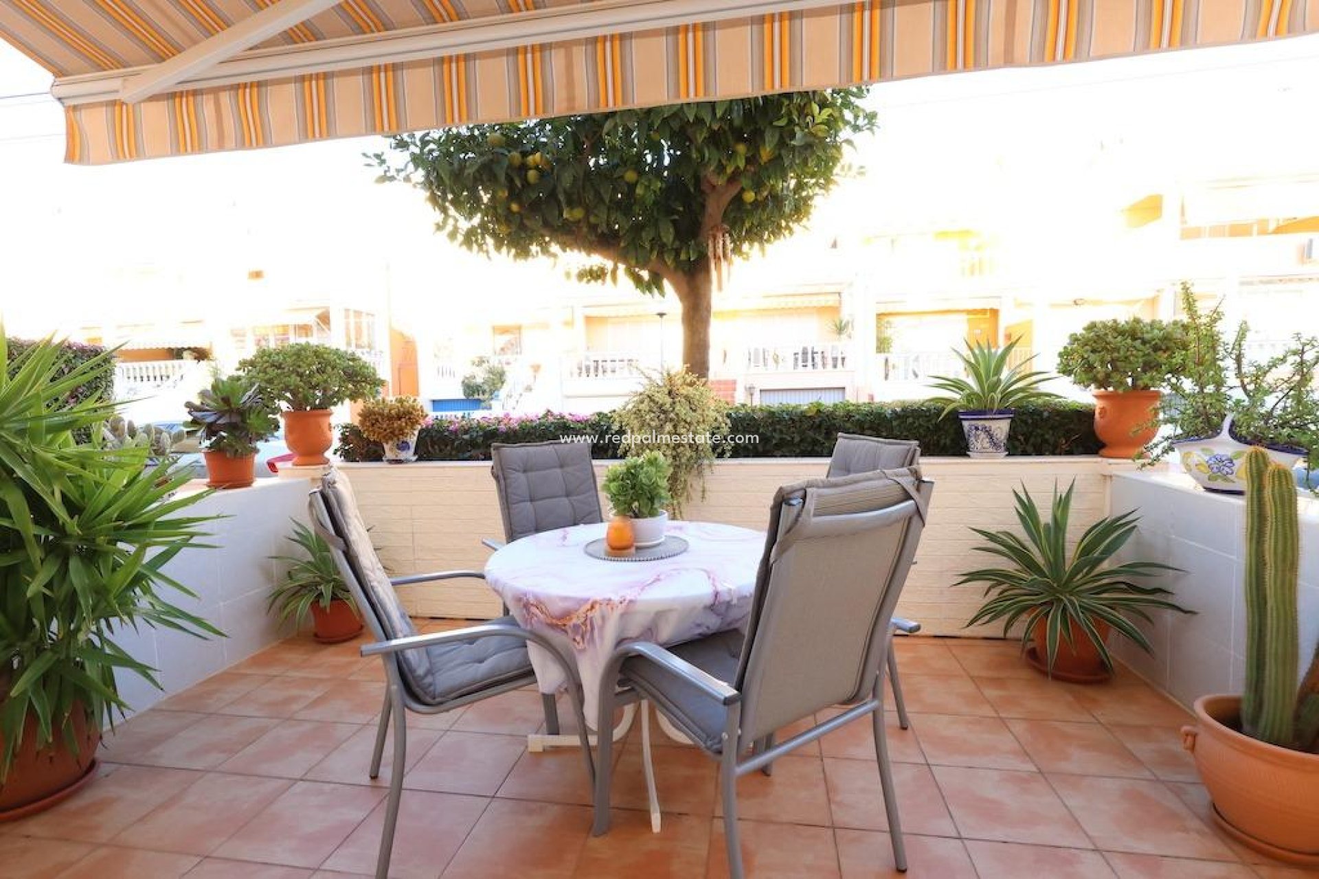 Resale - Town House -
Guardamar del Segura - Costa Blanca