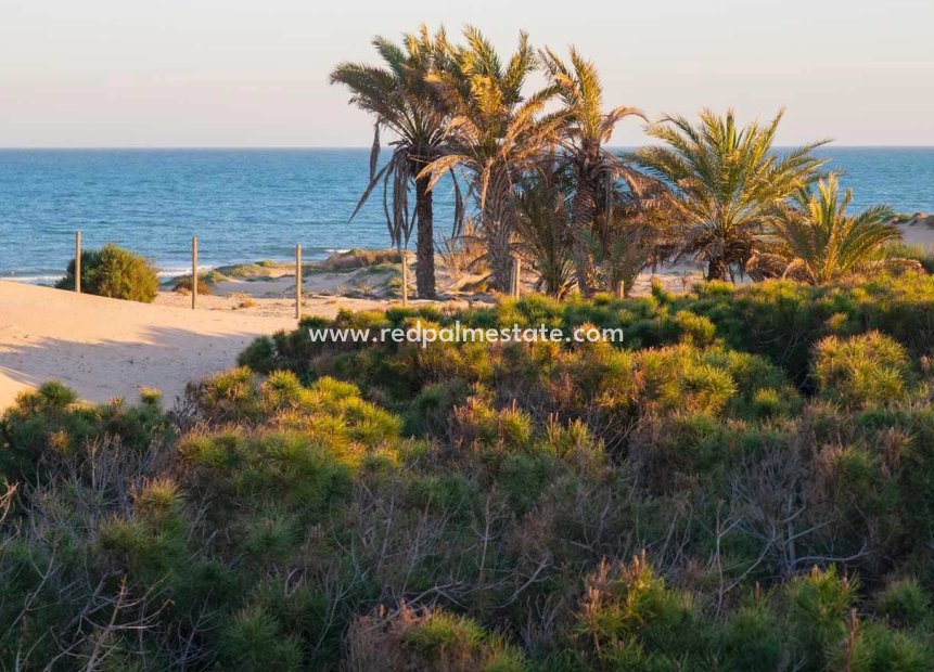 Resale - Town House -
Guardamar del Segura - Guardamar