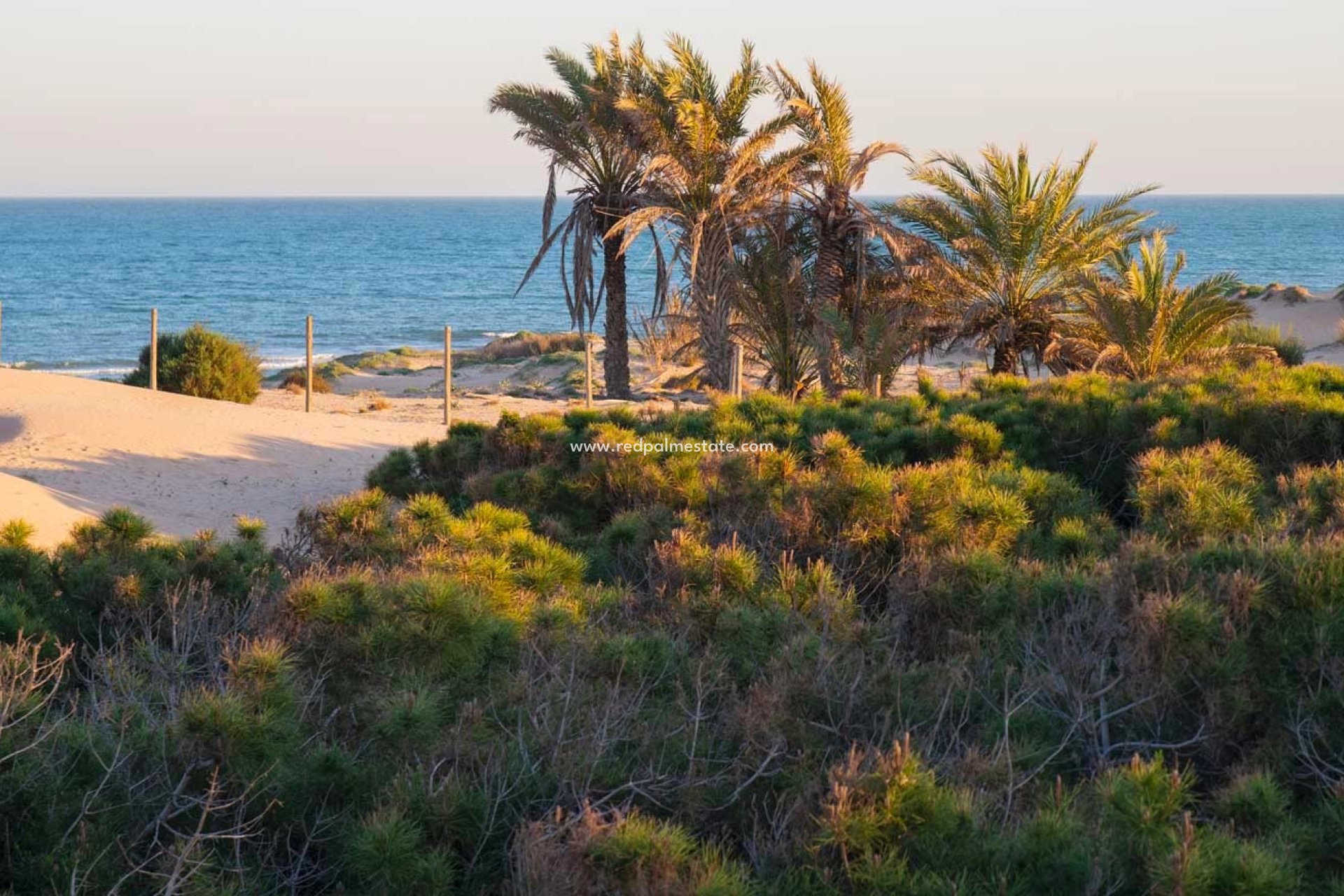 Resale - Town House -
Guardamar del Segura - Guardamar