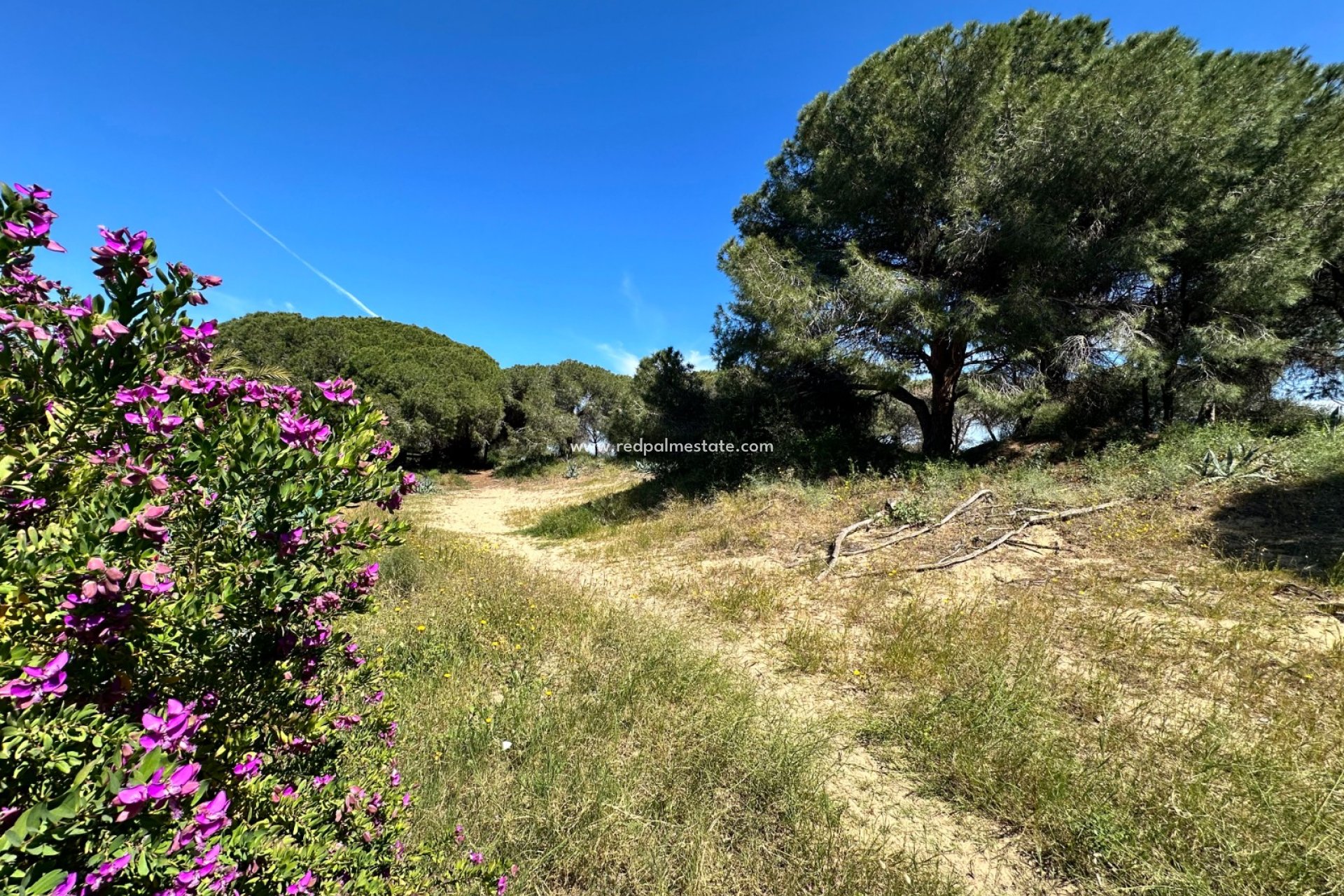 Resale - Town House -
Guardamar del Segura - Guardamar