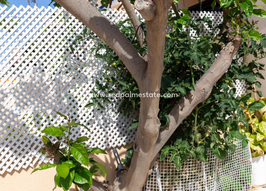 Resale - Town House -
Orihuela Costa - La Zenia