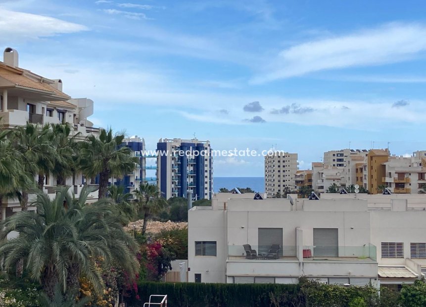 Resale - Town House -
Orihuela Costa - Punta prima