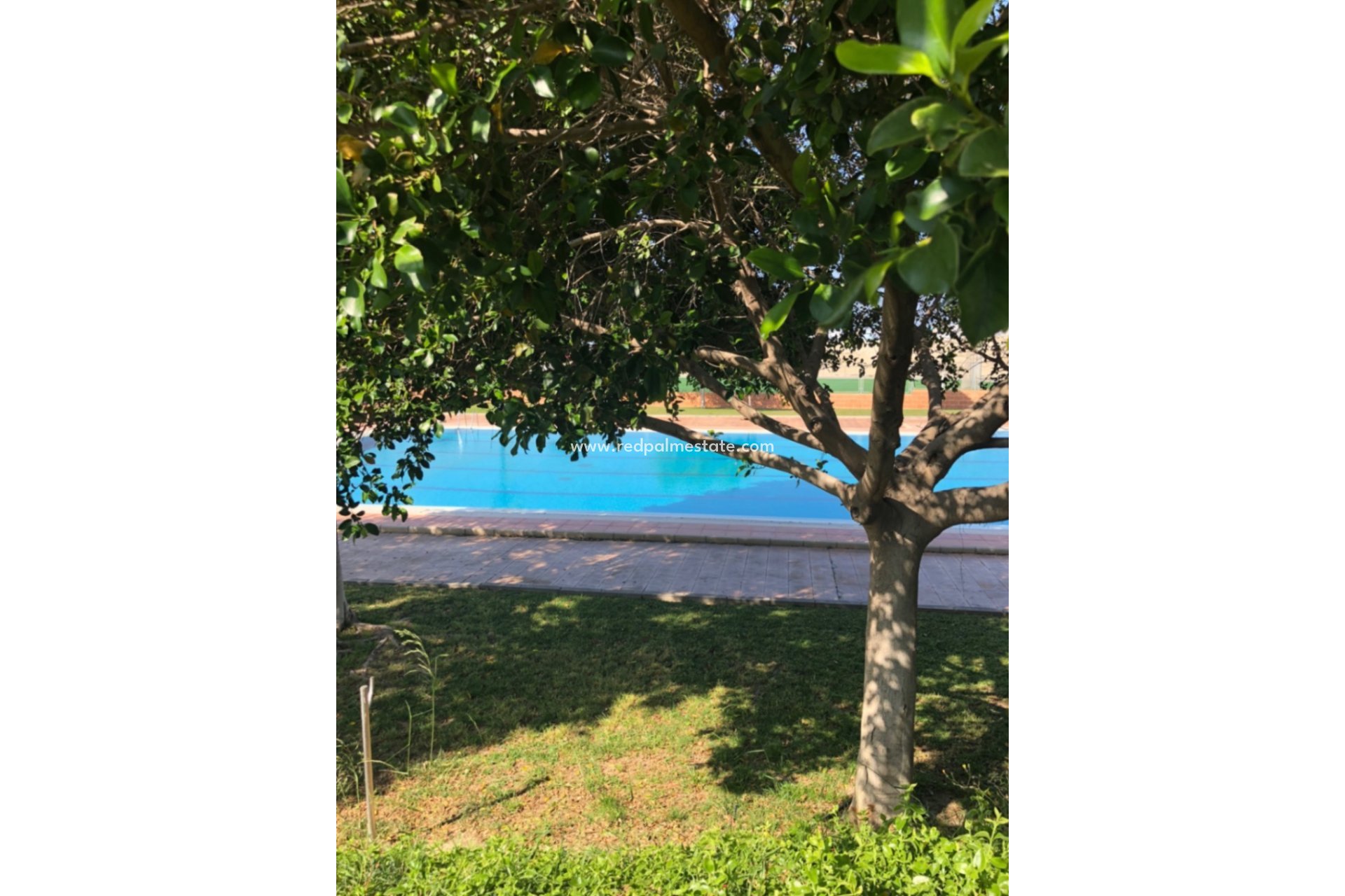 Resale - Town House -
San Miguel de Salinas - Inland