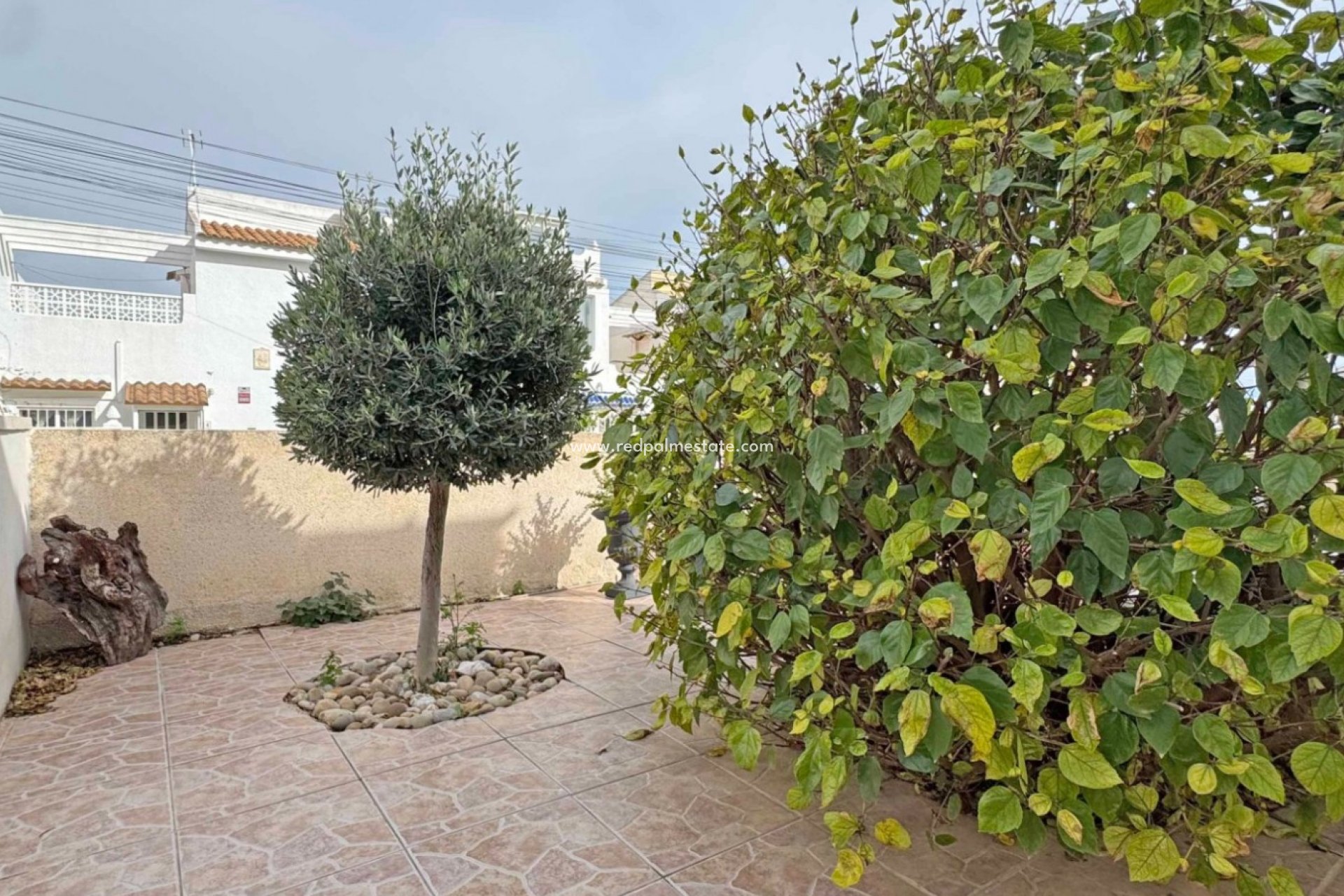 Resale - Town House -
San Miguel de Salinas - Inland