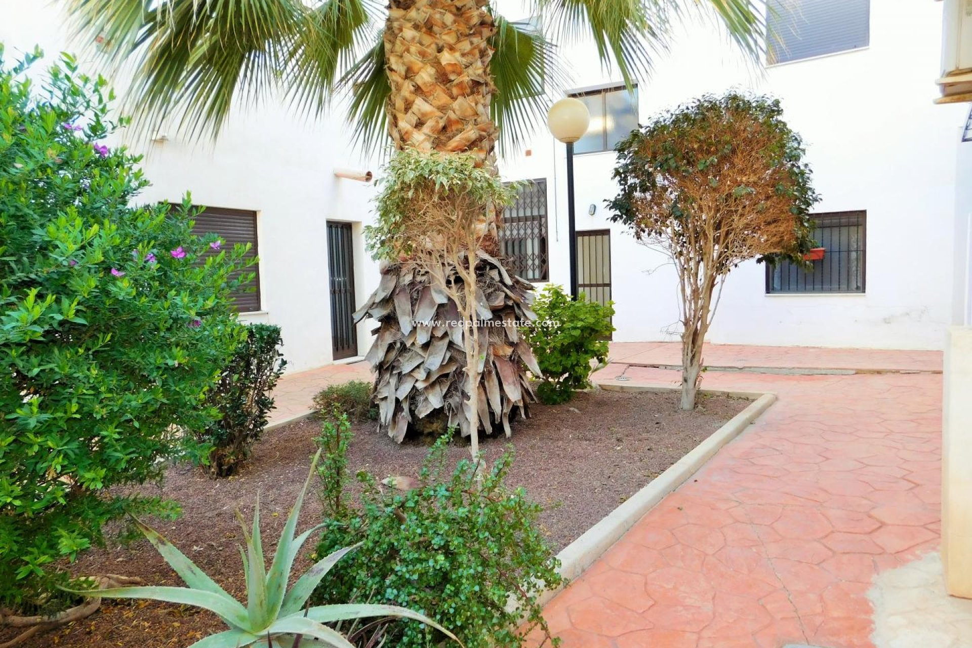 Resale - Town House -
San Miguel de Salinas - San Miguel Salinas