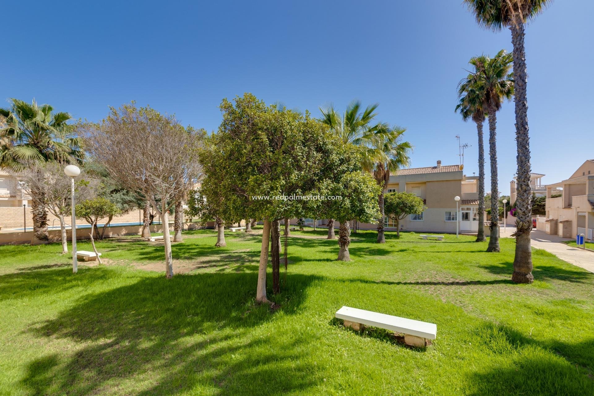 Resale - Town House -
Torrevieja - Aguas Nueva