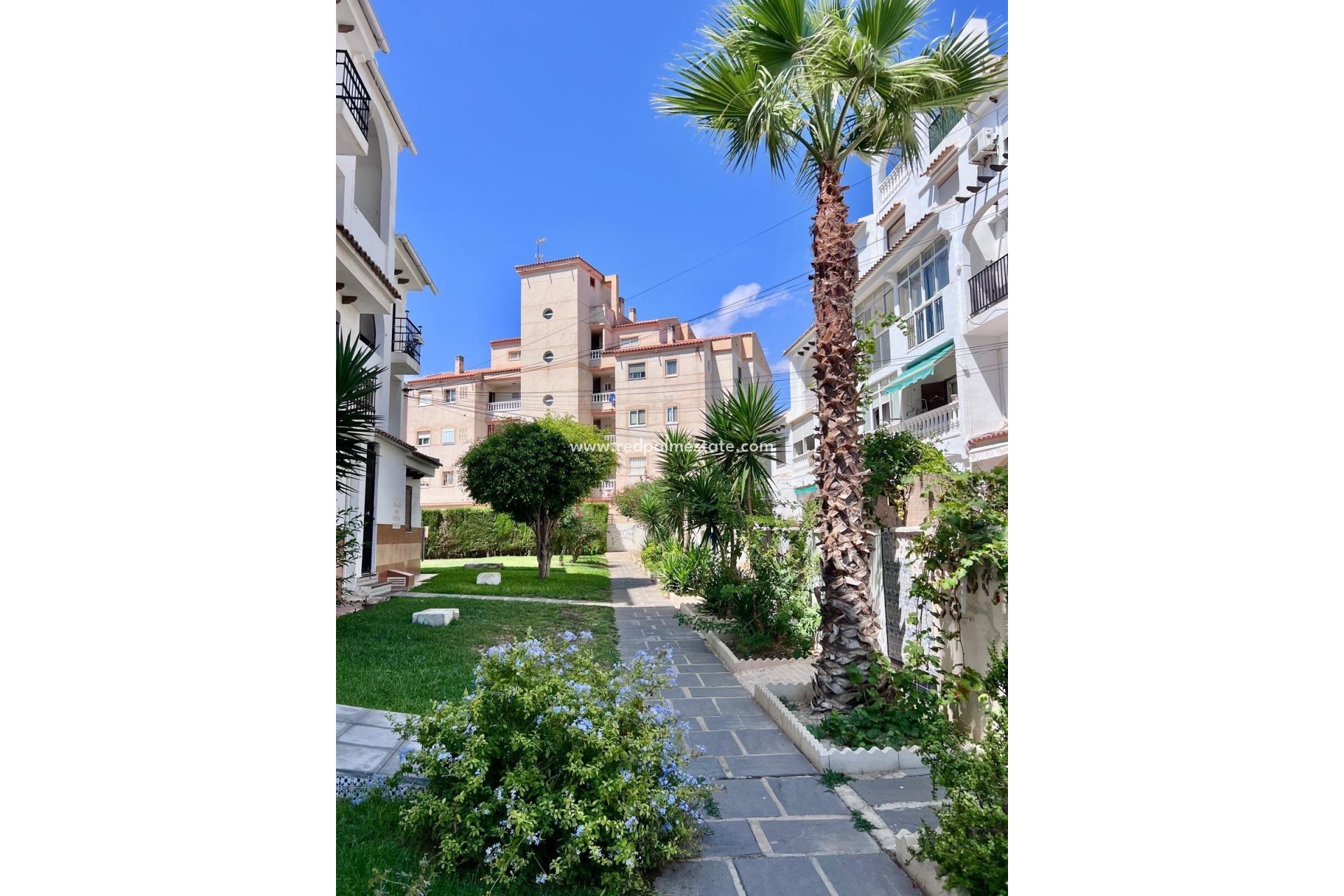 Resale - Town House -
Torrevieja - Calas blanca