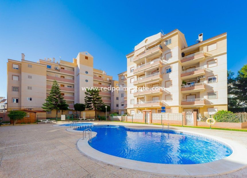 Resale - Town House -
Torrevieja - Calas blanca