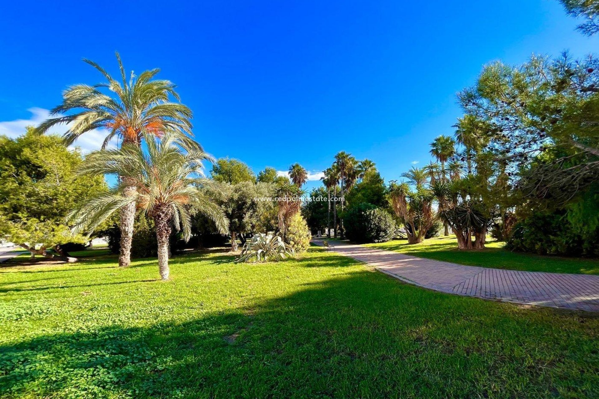 Resale - Town House -
Torrevieja - Calas blanca