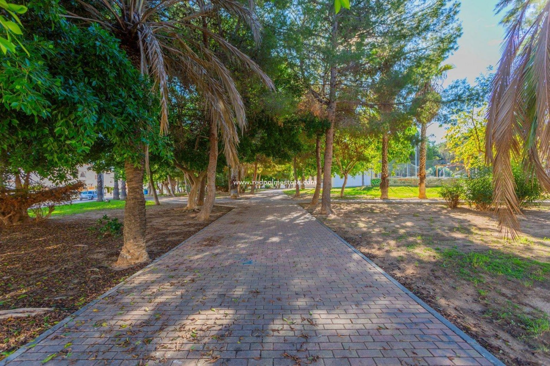 Resale - Town House -
Torrevieja - Calas blanca