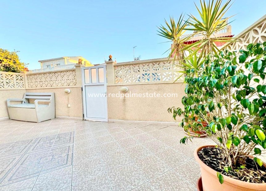Resale - Town House -
Torrevieja - La Siesta - El Salado - Torreta
