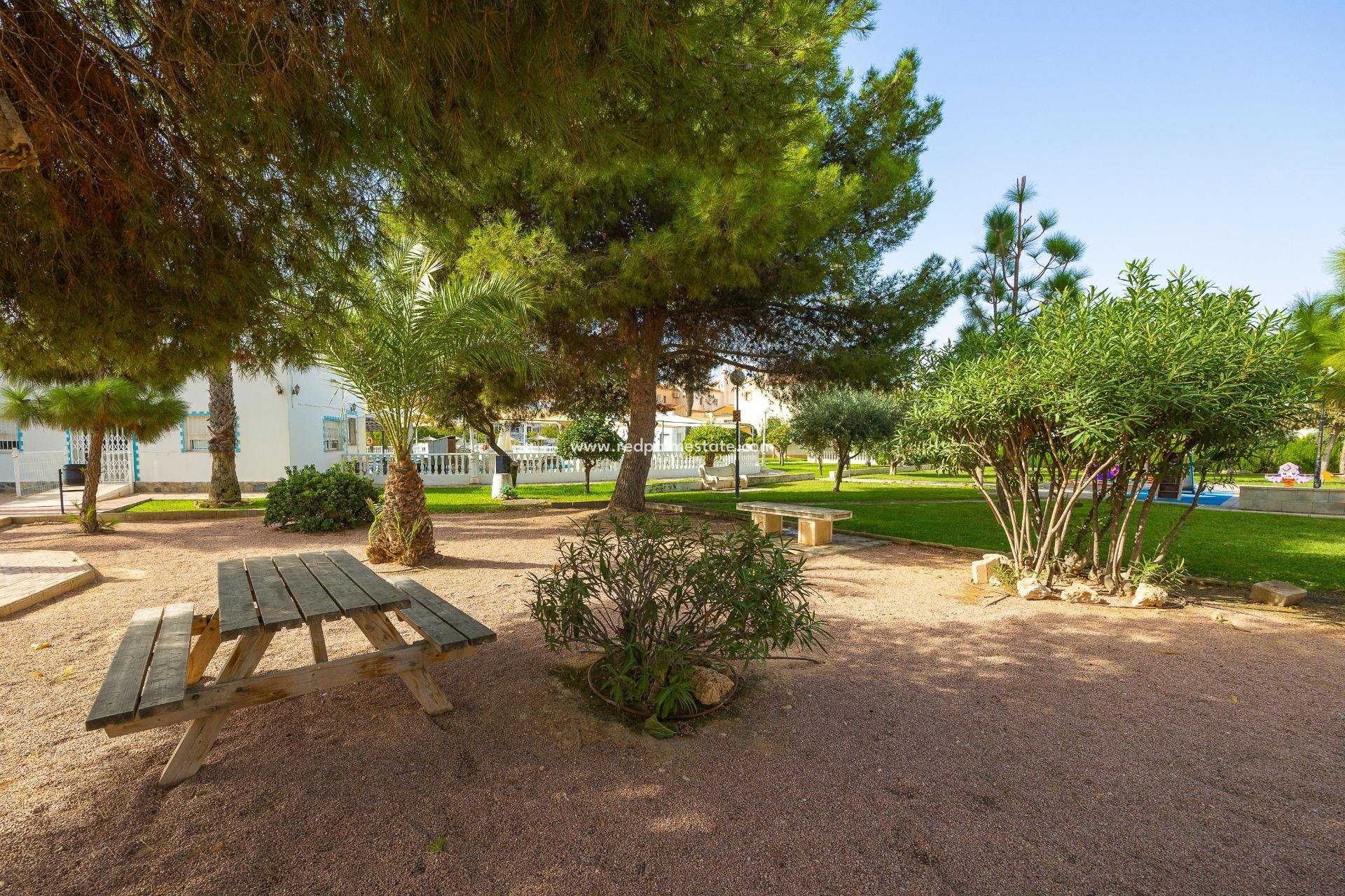 Resale - Town House -
Torrevieja - La Siesta - El Salado -  Torreta