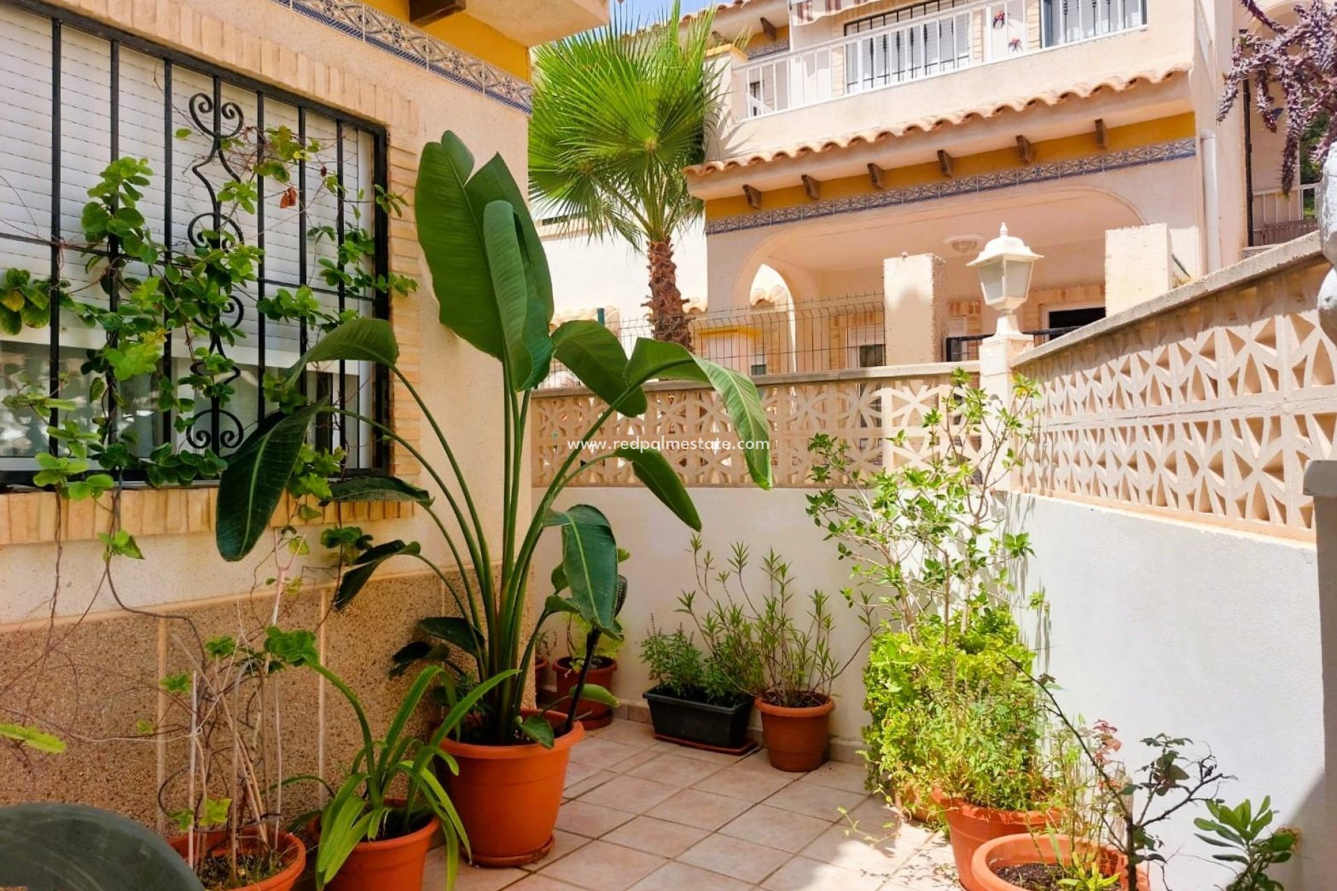 Resale - Town House -
Torrevieja - Las calas