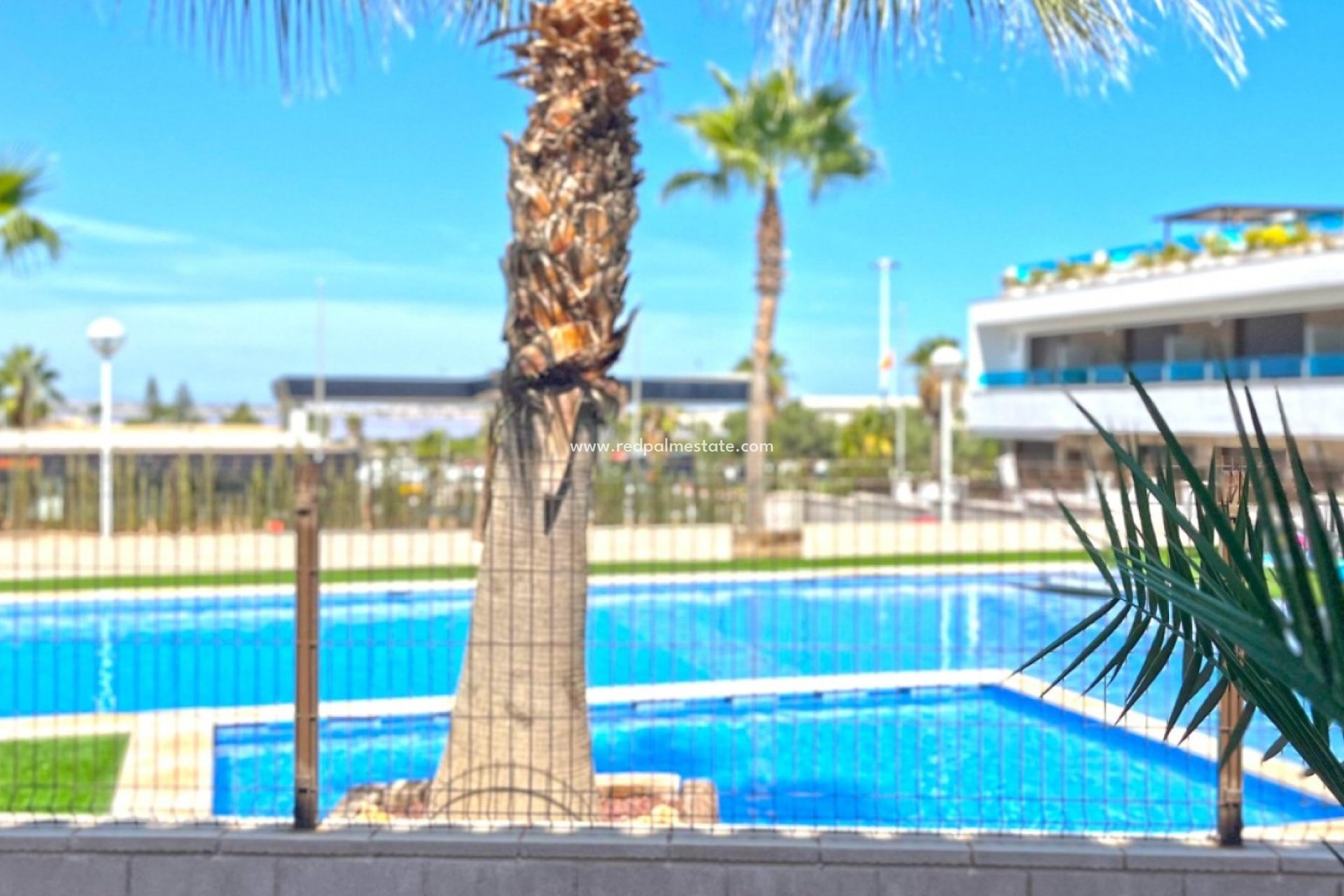 Resale - Town House -
Torrevieja - Los Balcones - Los Altos del Edén