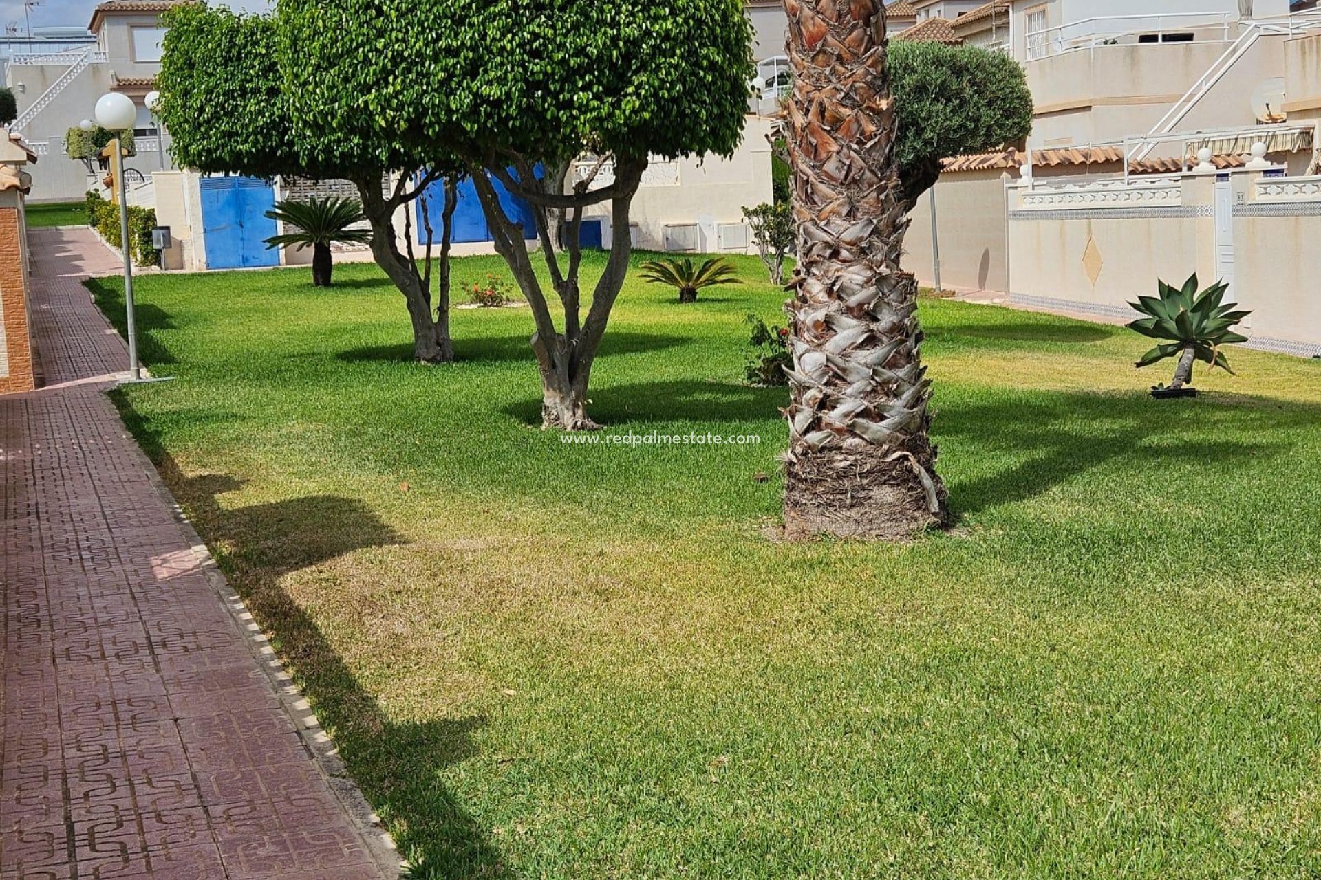 Resale - Town House -
Torrevieja - Los balcones