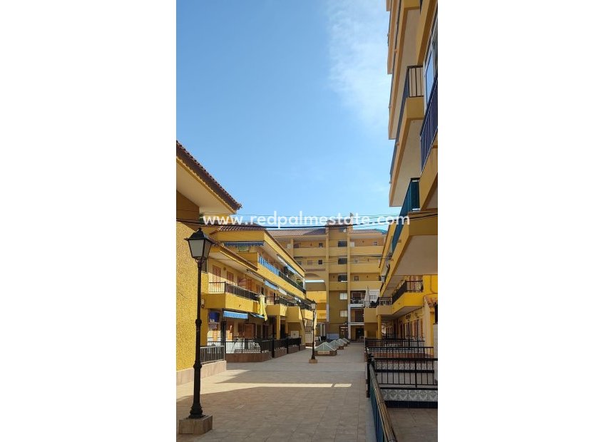 Resale - Town House -
Torrevieja - Los Europeos