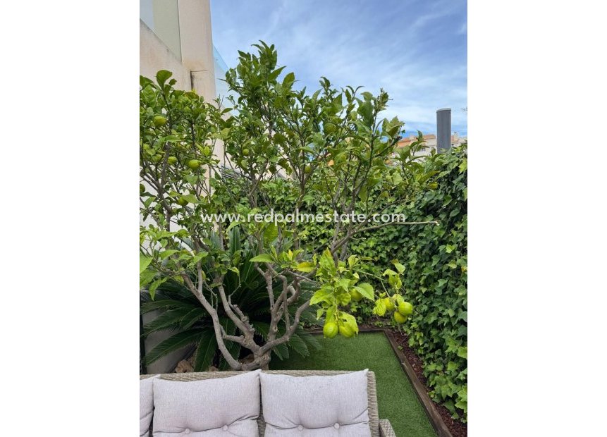 Resale - Town House -
Torrevieja - Punta prima