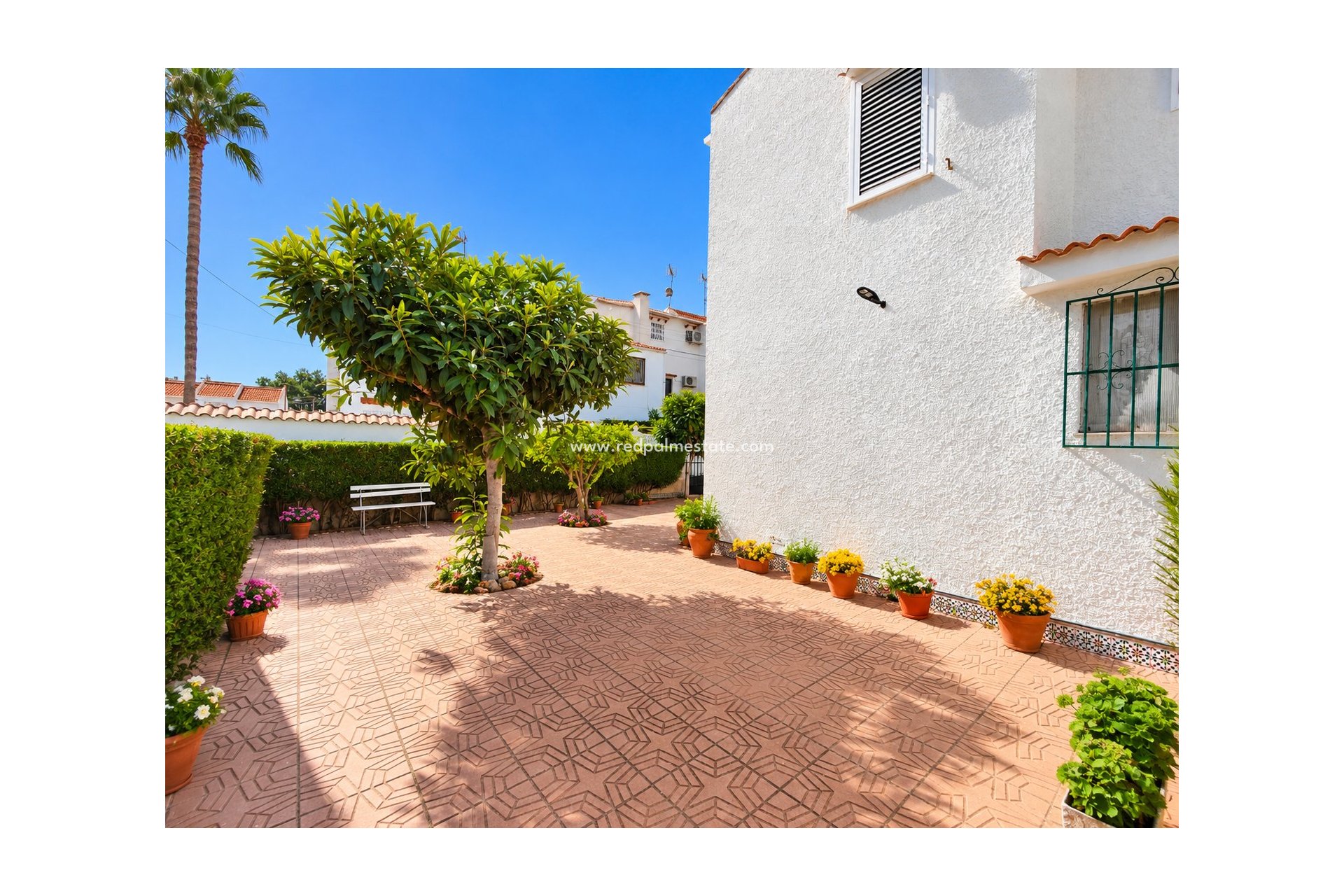 Resale - Town House -
Torrevieja