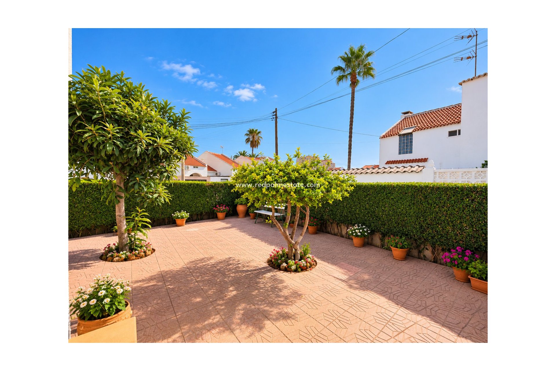 Resale - Town House -
Torrevieja