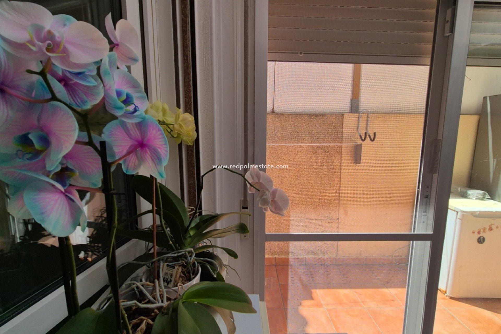 Resale - Town House -
Torrevieja