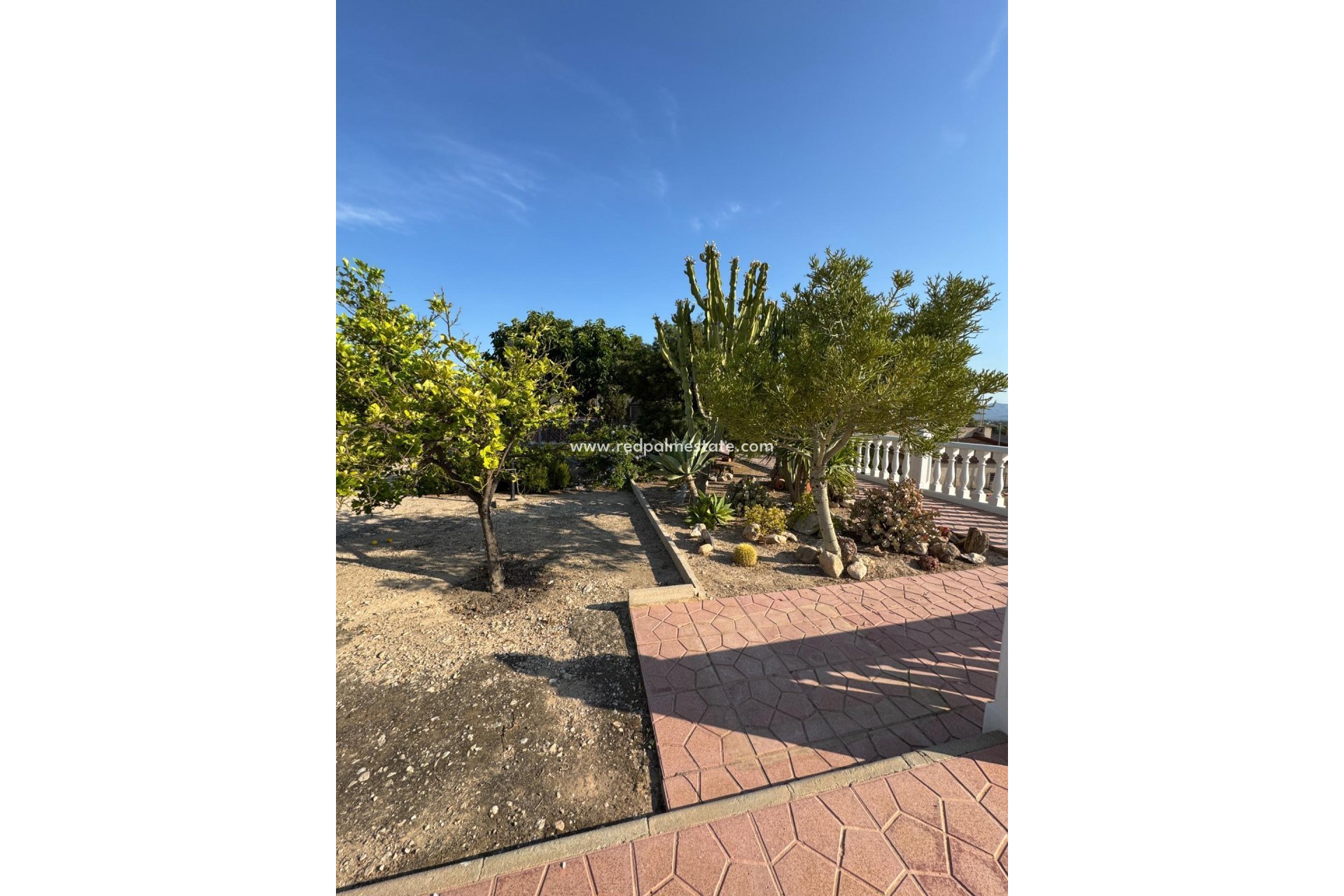 Resale - Villa -
Albatera - Partida Lomas