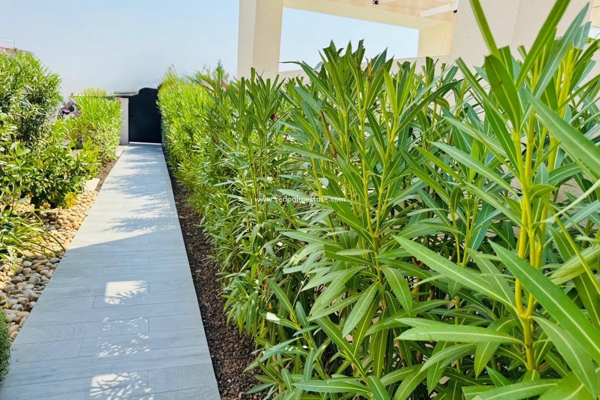 Resale - Villa -
Algorfa - Club De Golf La Finca