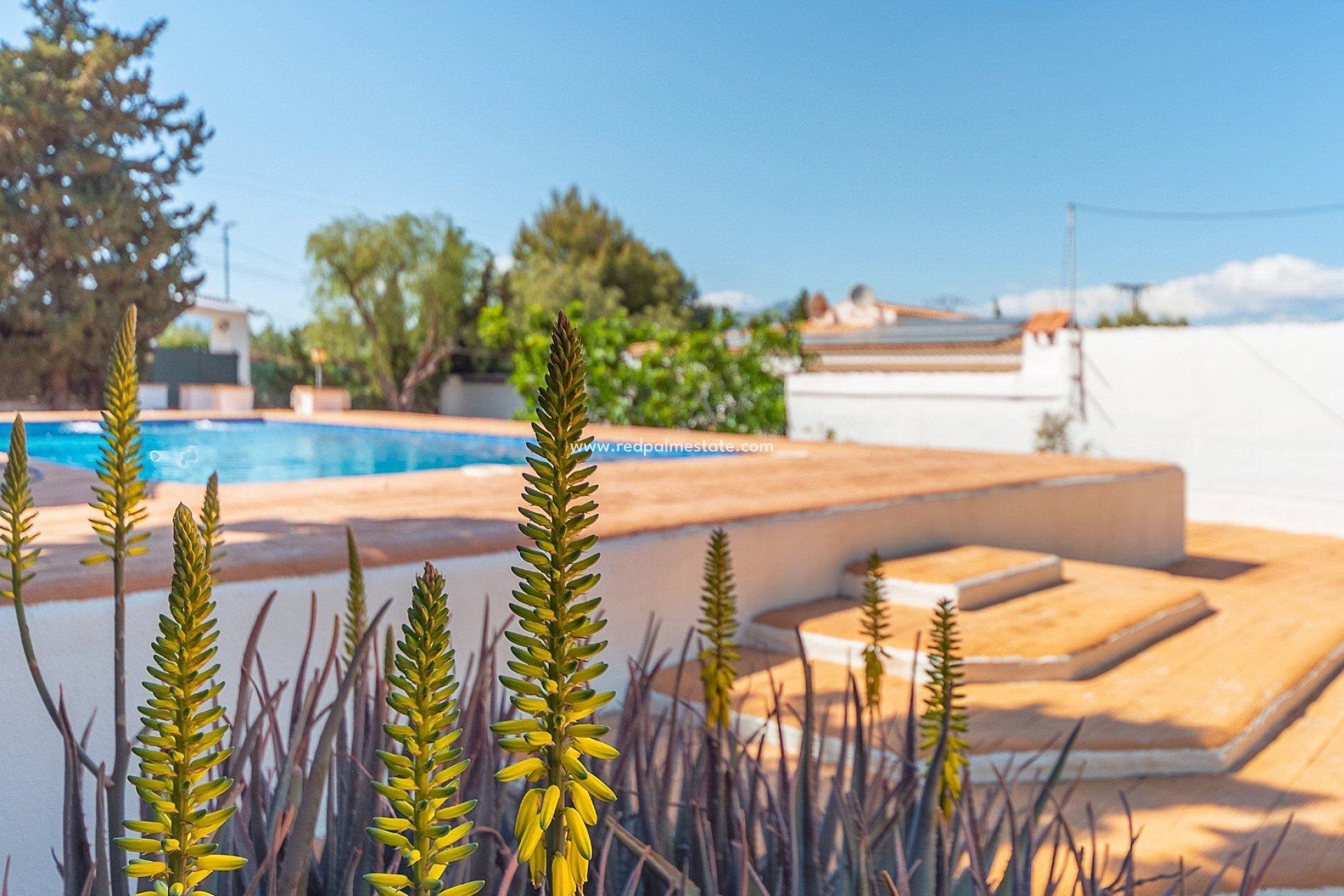 Resale - Villa -
Alicante - San Vicente del Raspeig
