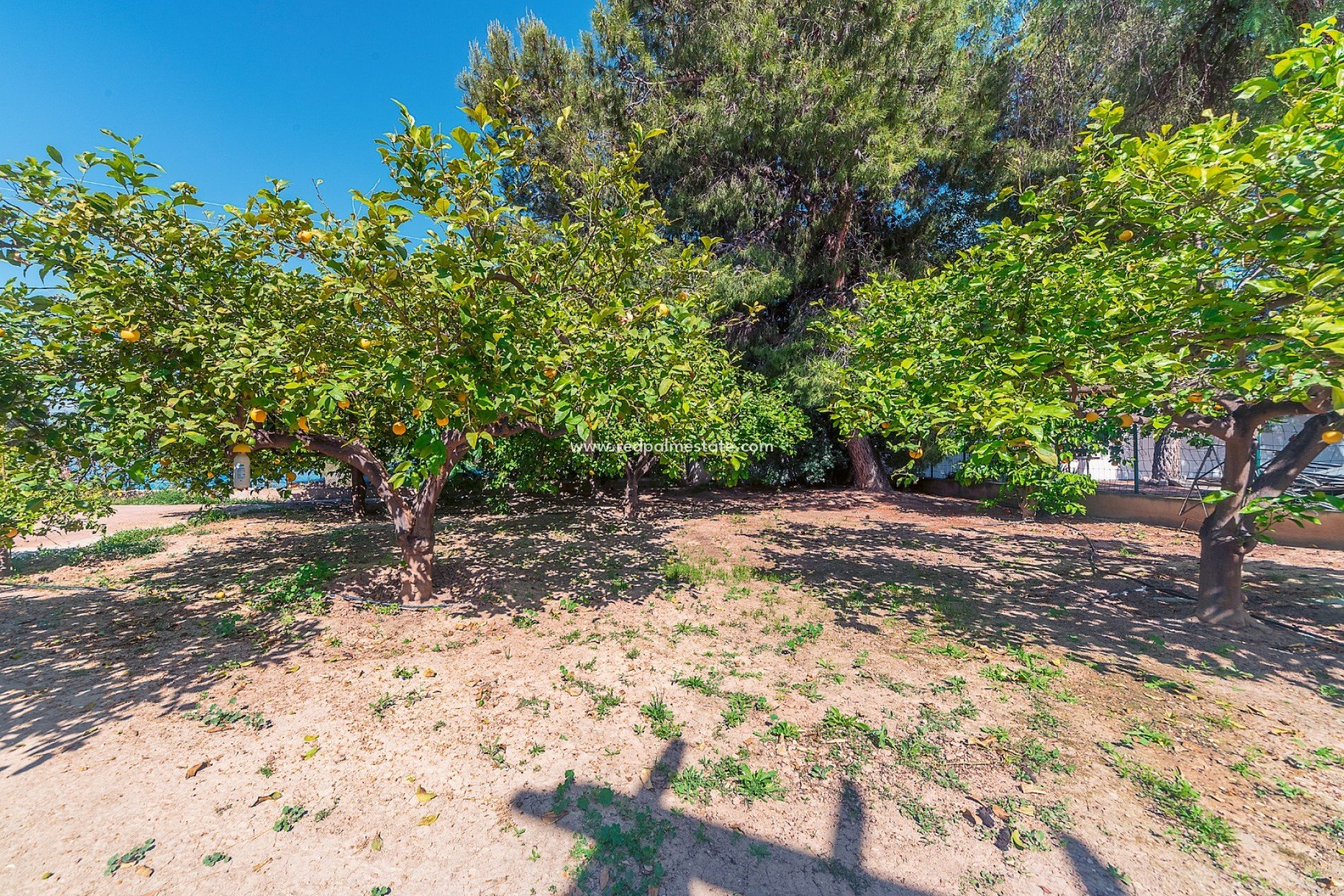 Resale - Villa -
Alicante - San Vicente del Raspeig
