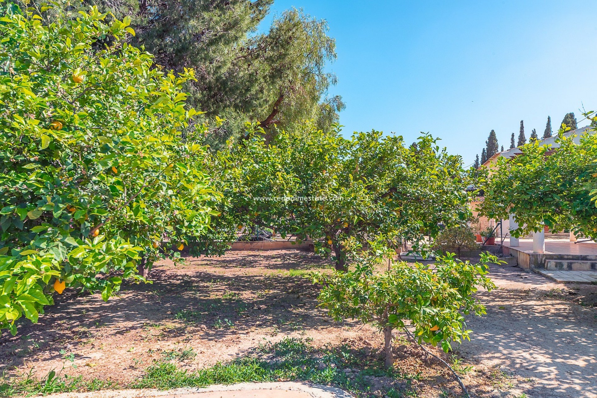 Resale - Villa -
Alicante - San Vicente del Raspeig