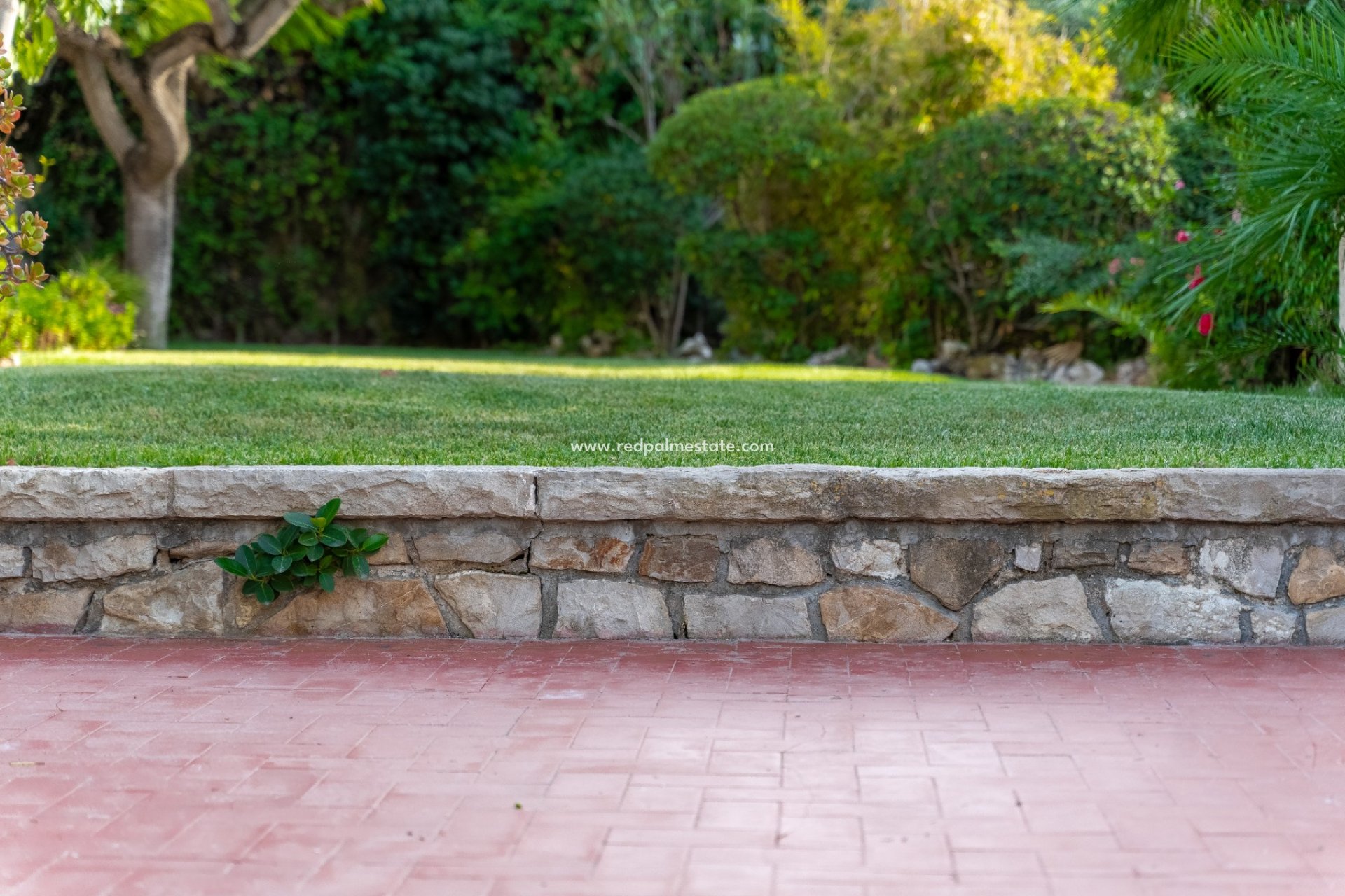 Resale - Villa -
Alicante