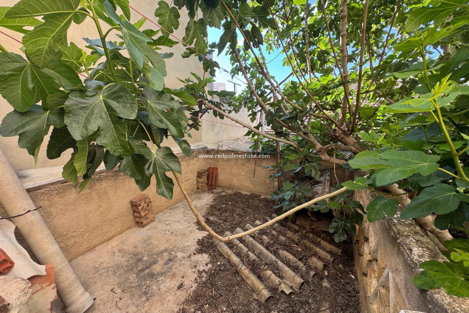 Resale - Villa -
Benejúzar - Inland