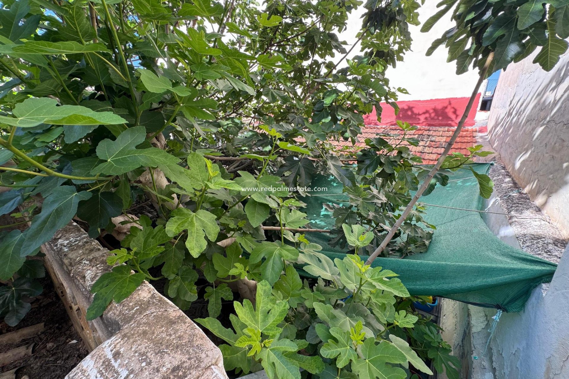 Resale - Villa -
Benejúzar - Inland