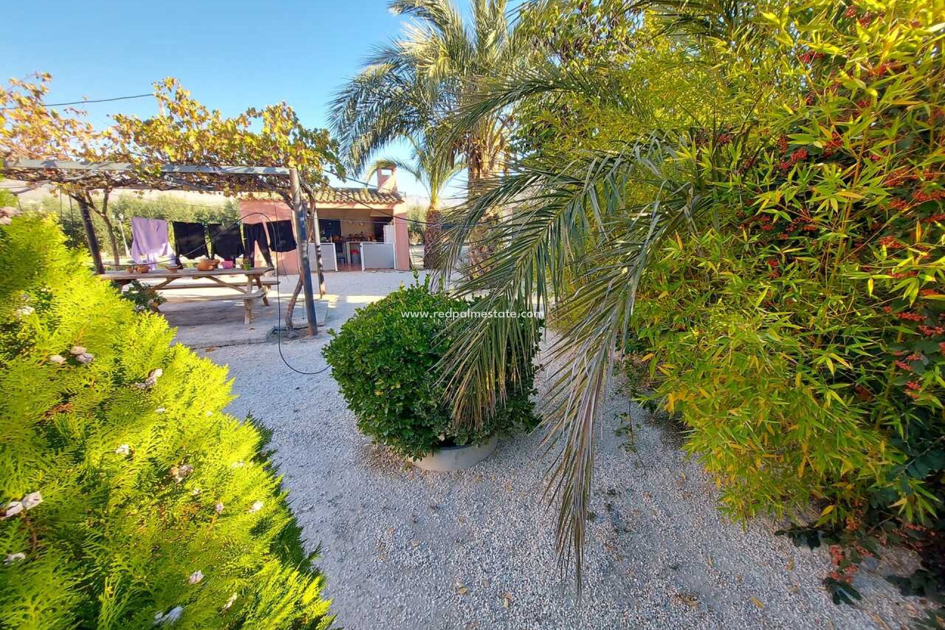 Resale - Villa -
Calasparra - Inland
