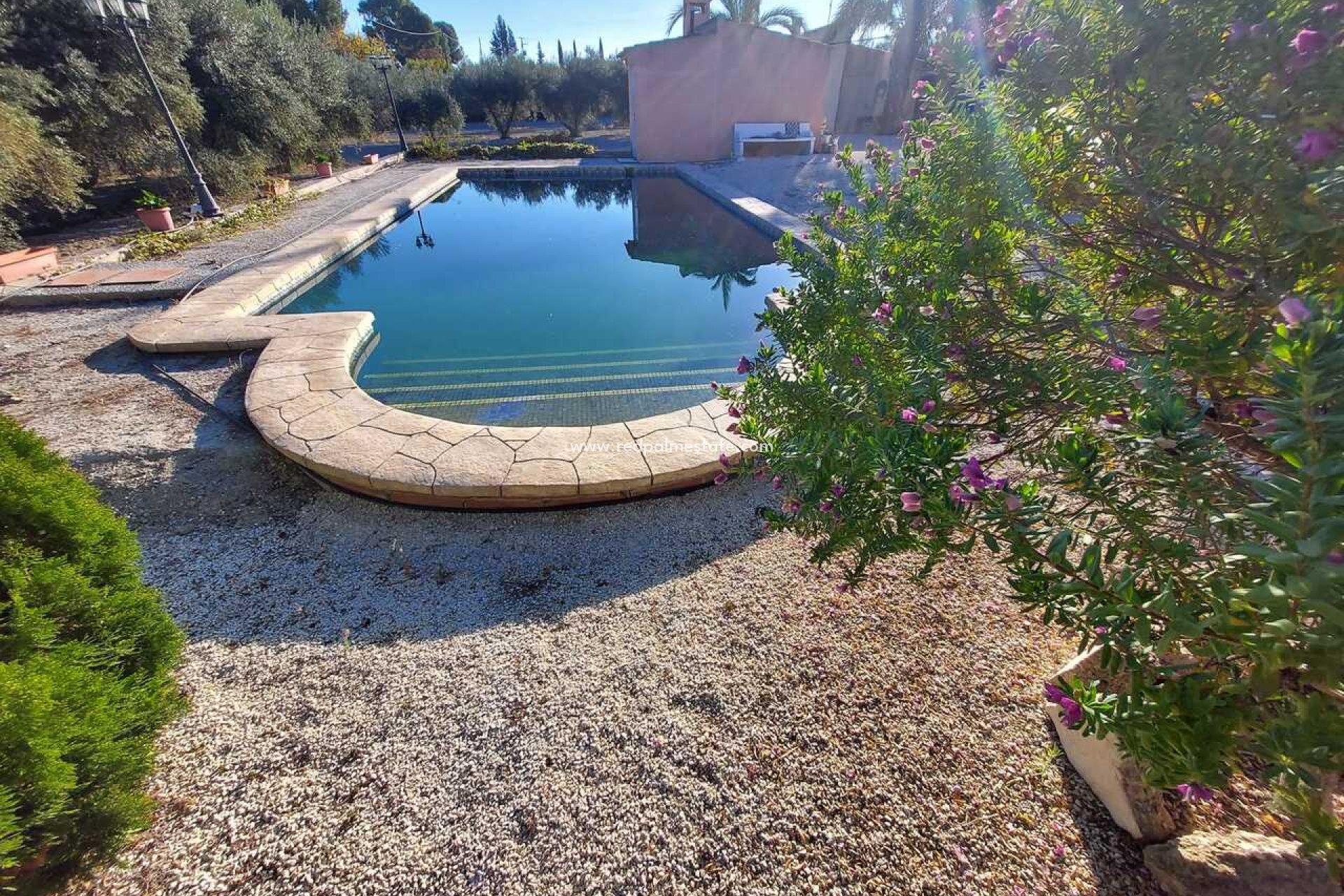 Resale - Villa -
Calasparra - Inland
