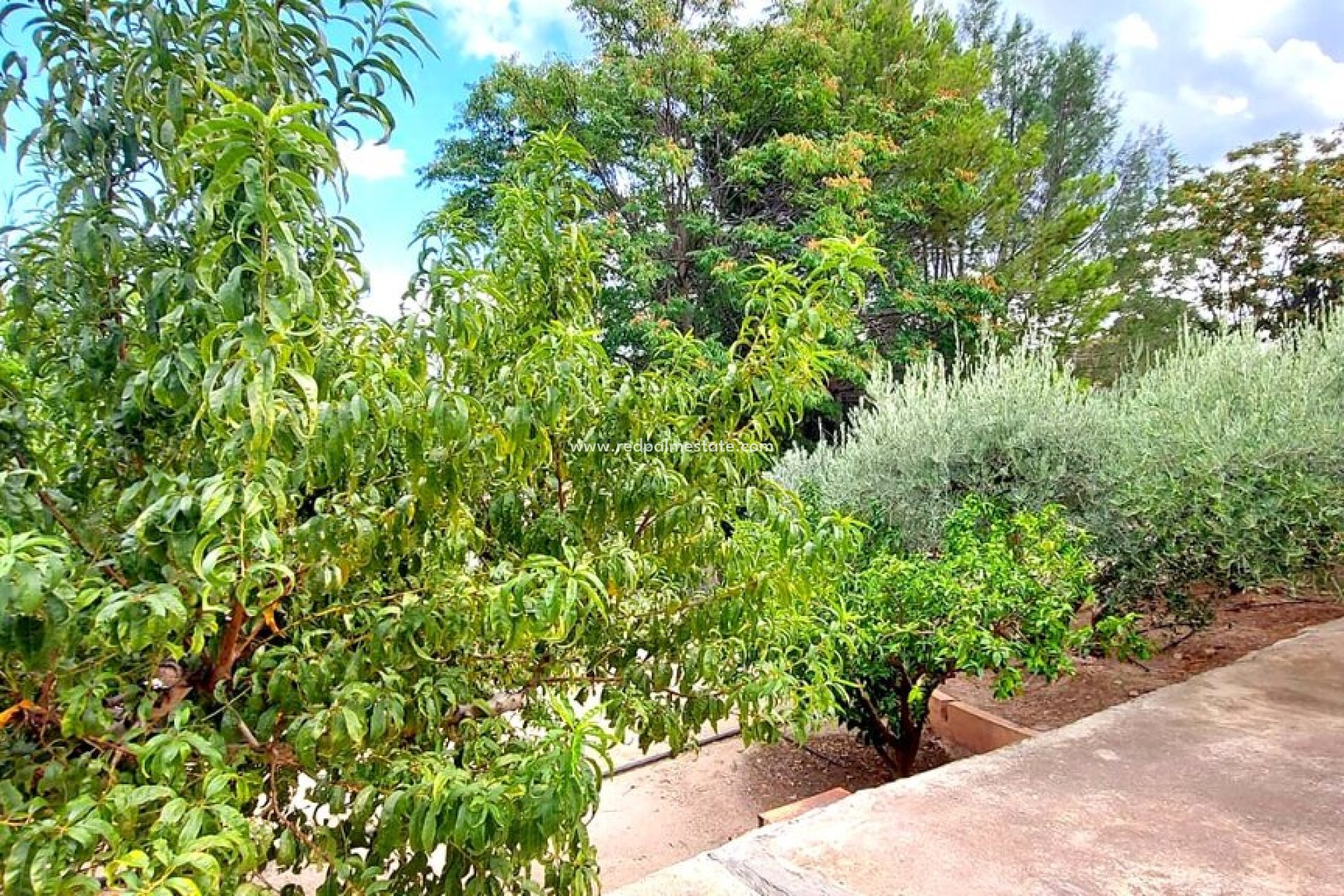 Resale - Villa -
Calasparra - Inland