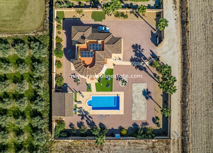 Resale - Villa -
Catral - Costa Blanca