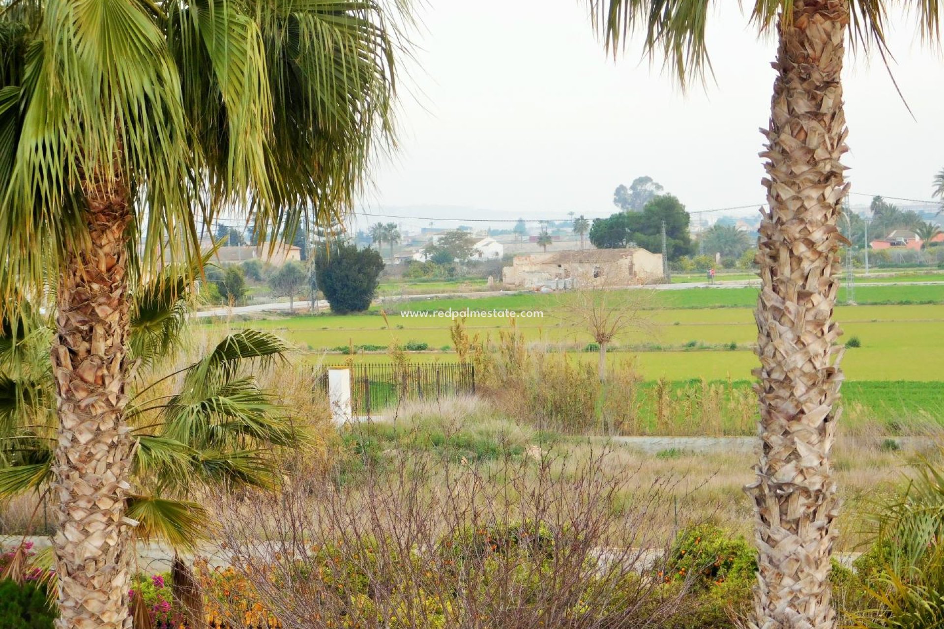 Resale - Villa -
Catral