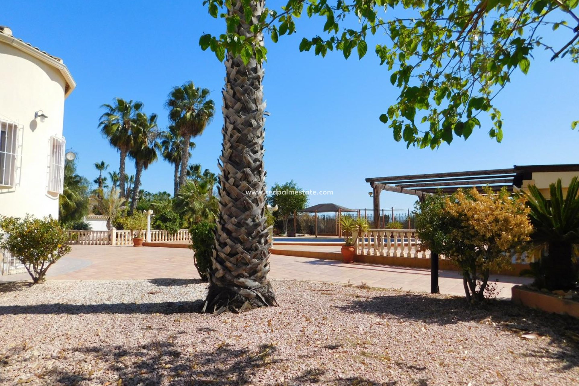 Resale - Villa -
Catral