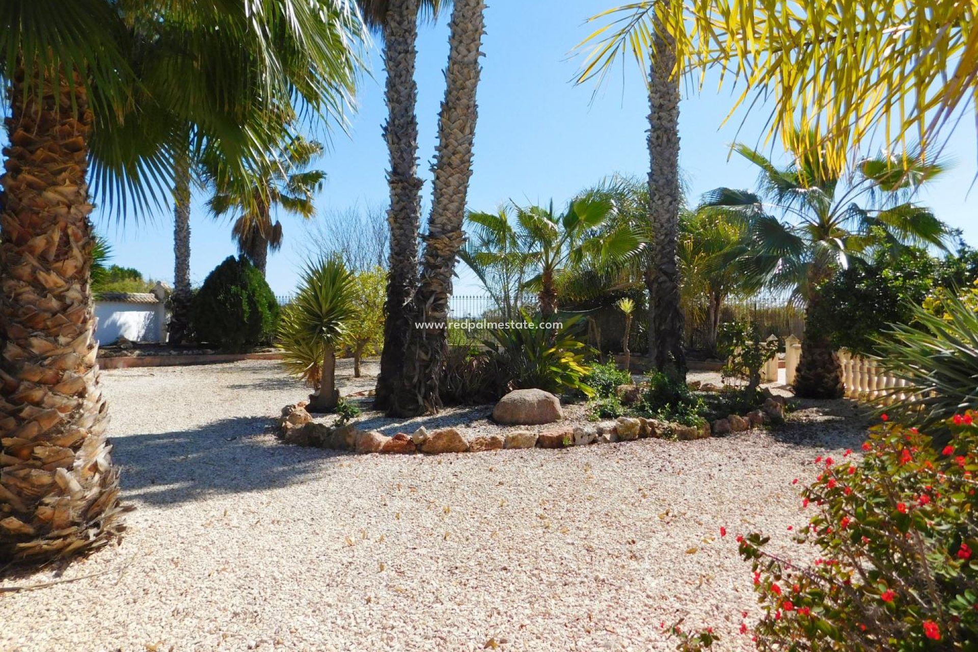 Resale - Villa -
Catral