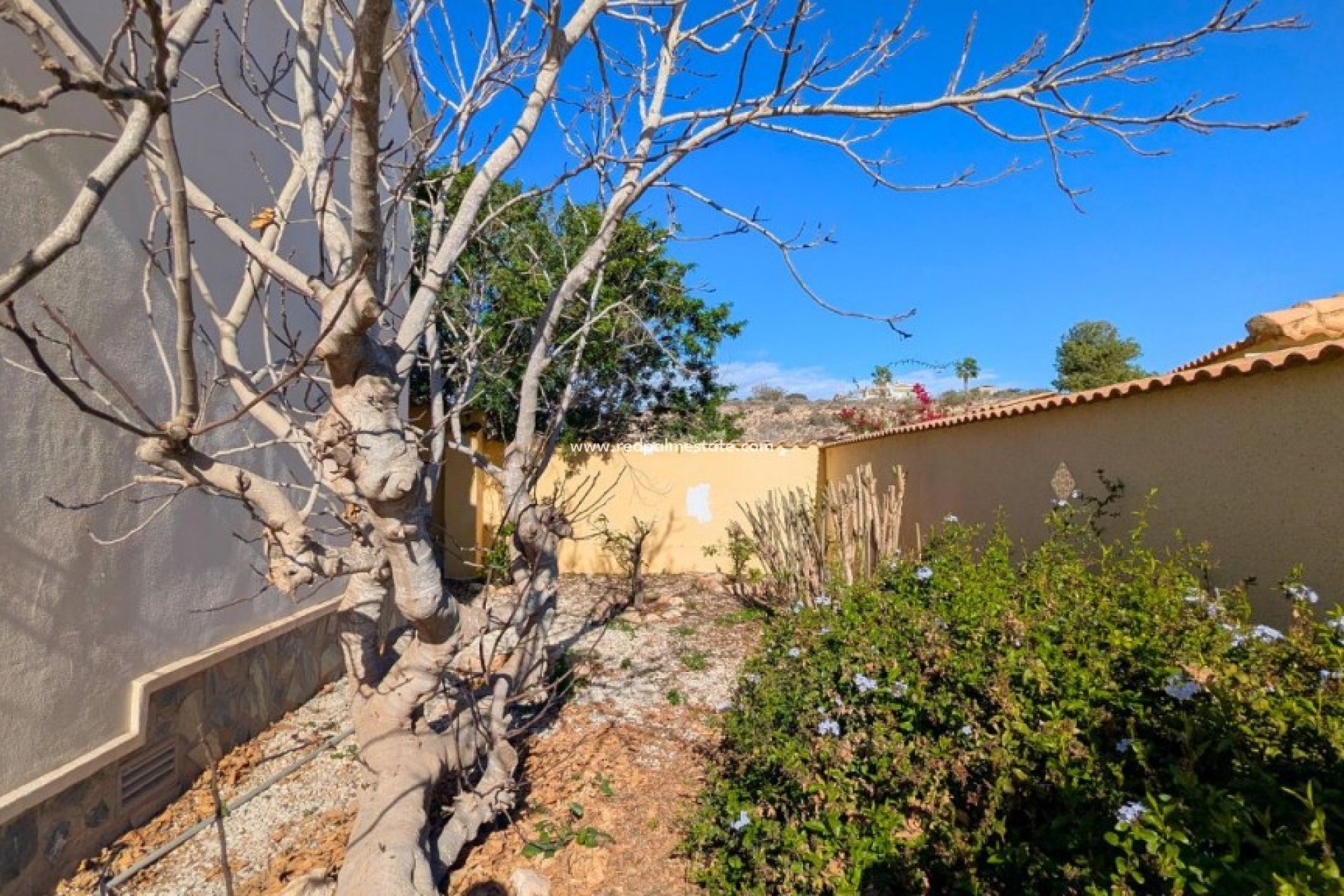 Resale - Villa -
Ciudad Quesada - Ciudad quesada