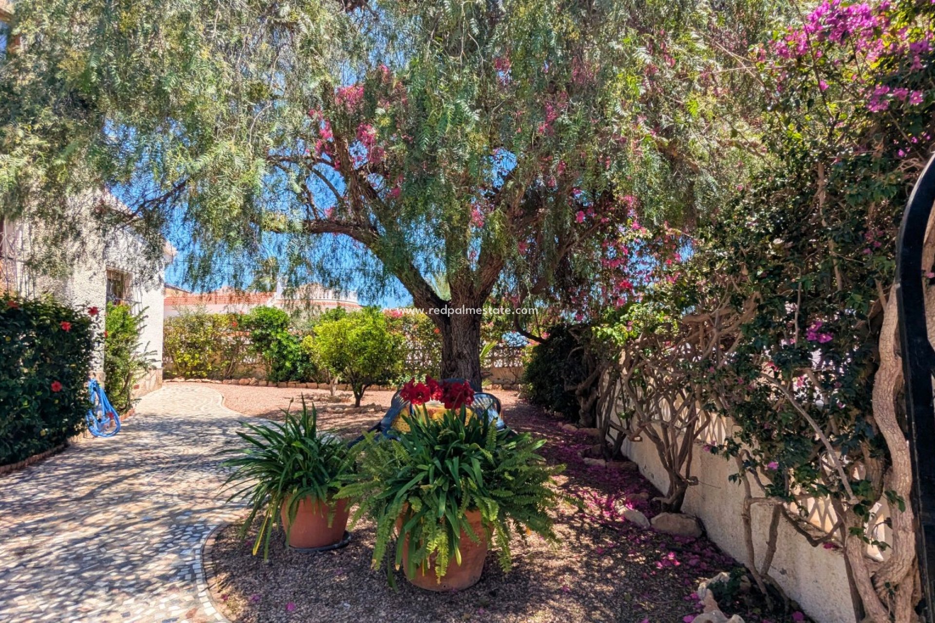Resale - Villa -
Ciudad Quesada/Rojales - Ciudad Quesada